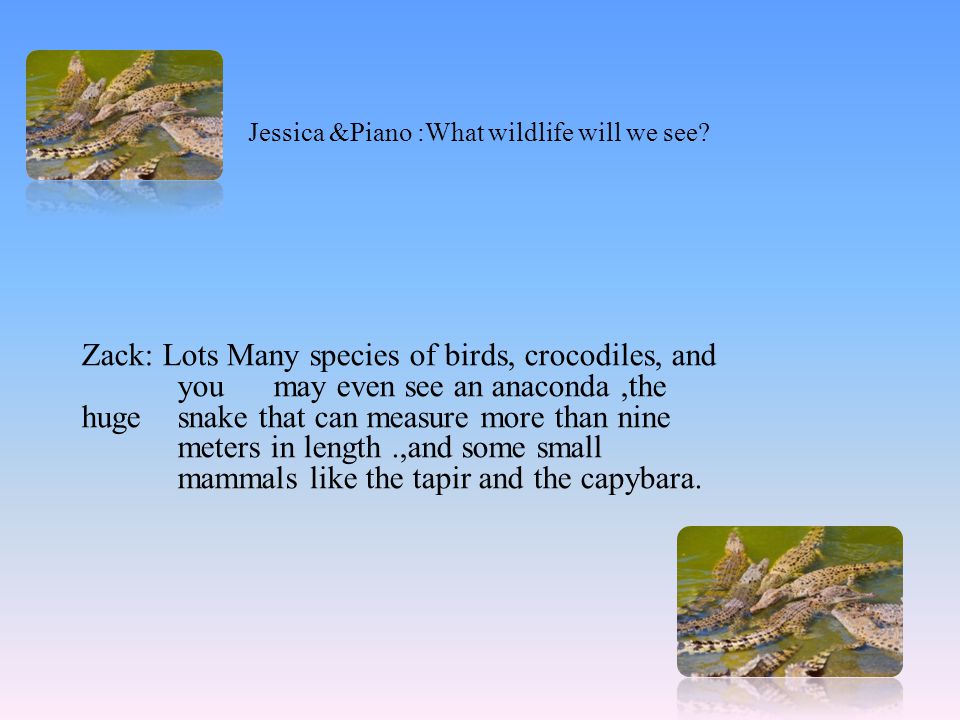 Jessica &Piano :What wildlife will we see.